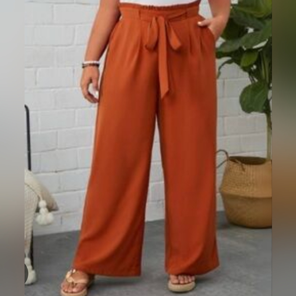 Emery Rose Burnt Orange Pants Size 1X